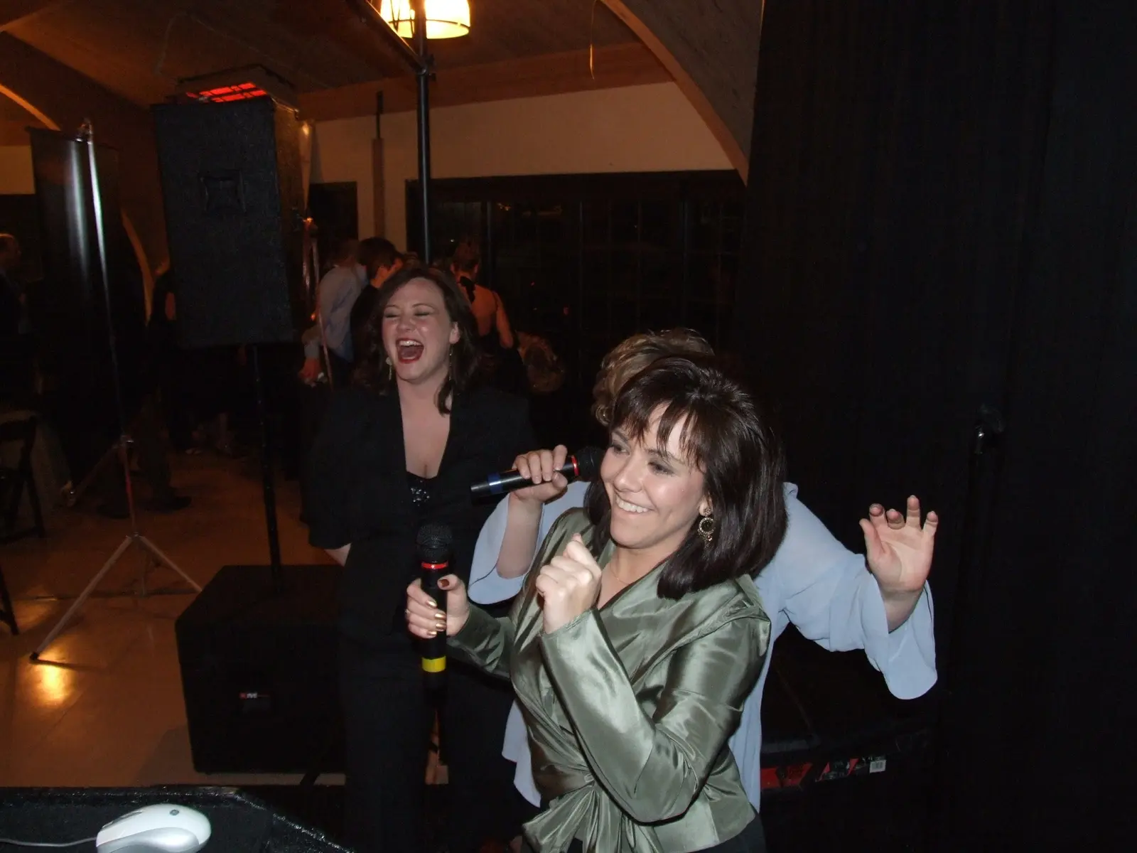Guests laughing and singing karaoke together